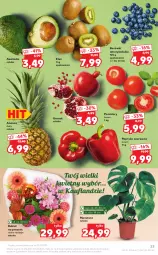 Gazetka promocyjna Kaufland - OFERTA TYGODNIA - Gazetka - ważna od 08.12 do 08.12.2021 - strona 23 - produkty: Gra, Papryka czerwona, Papryka, Granat, Ananas, Kiwi, Tera, Bukiet, Pomidory