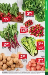 Gazetka promocyjna Stokrotka - Market - Gazetka - ważna od 01.06 do 01.06.2026 - strona 7 - produkty: Cebula, Warzywa, Sałata masłowa, Truskawki, Ziemniaki, Siatka, Sałat, Optima, Owoce, Seler naciowy, Masło, Rzodkiewka, Mięso