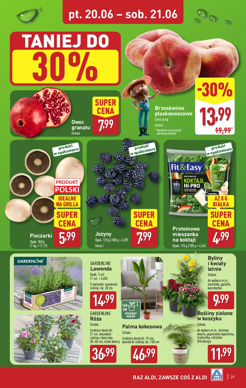 Gazetka promocyjna Aldi - Pełna oferta - ważna 16.06 do 21.06.2025 - strona 29 - produkty: Brzoskwinie, Gra, Granat, Grill, Jeżyny, Koc, Kokos, Kosz, Palma, Piec, Róża, Sok