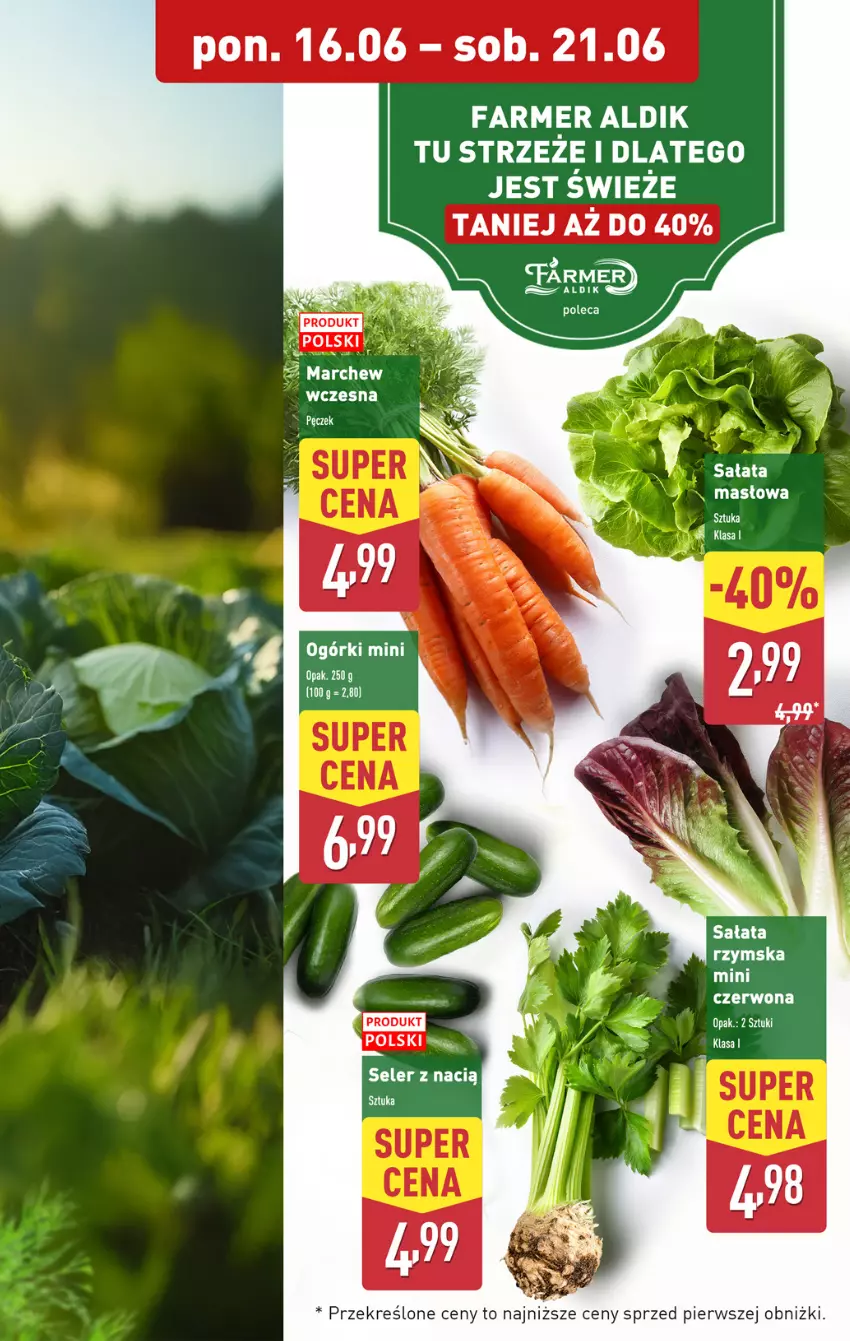 Gazetka promocyjna Aldi - Pełna oferta - ważna 16.06 do 21.06.2025 - strona 5 - produkty: Fa, HP, Sałat