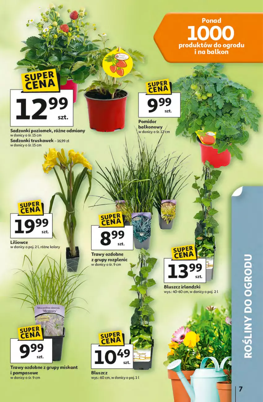 Gazetka promocyjna Auchan - 30 Lat Hipermarket - ważna 16.04 do 22.04.2026 - strona 7 - produkty: Miska