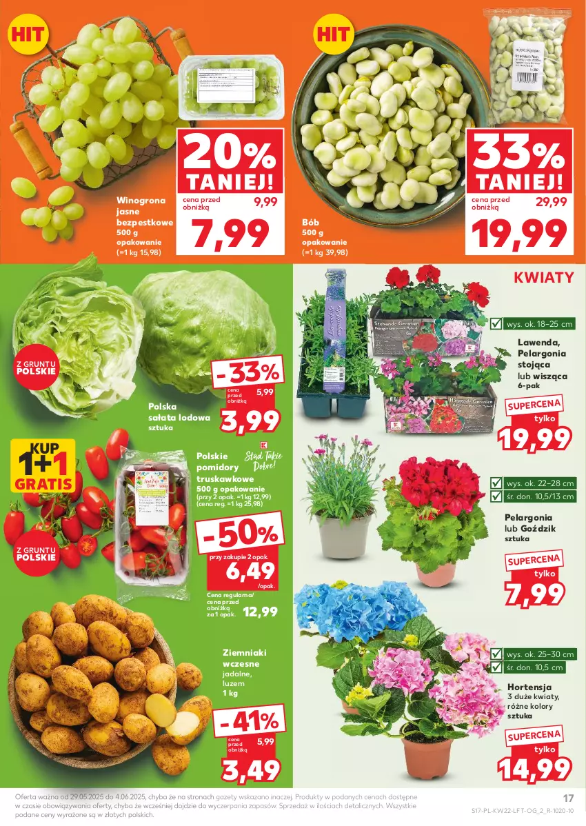 Gazetka promocyjna Kaufland - Gazetka tygodnia - ważna 29.05 do 04.06.2025 - strona 17 - produkty: Gra, Grunt, Pomidory, Sałat, Sałata lodowa, Wino, Winogrona, Ziemniaki