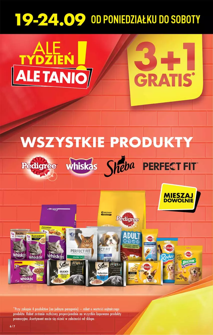 Gazetka promocyjna Biedronka - W tym tygodniu P - ważna 19.09 do 24.09.2022 - strona 6 - produkty: Por