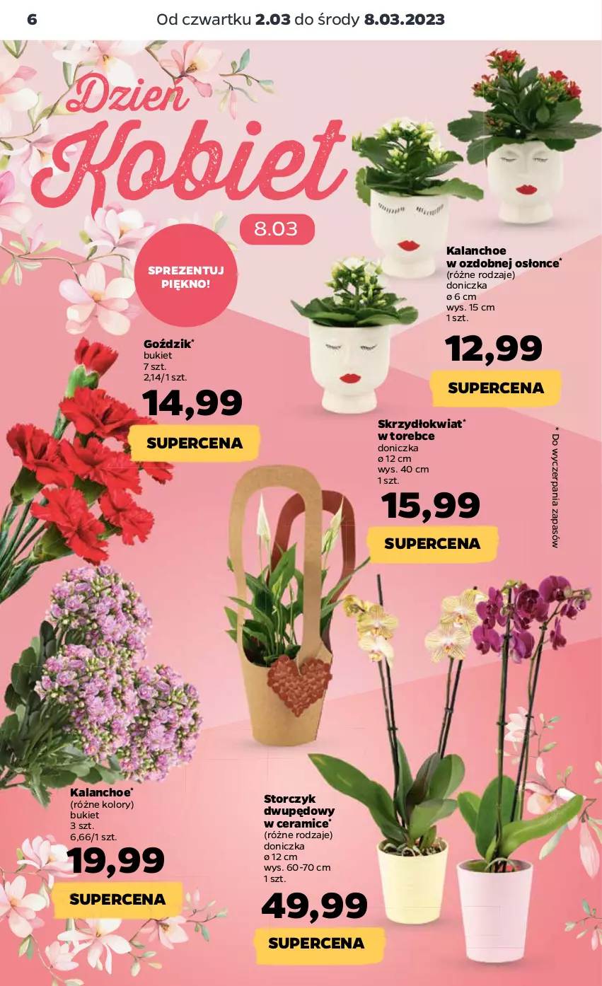 Gazetka promocyjna Netto - Artykuły spożywcze - ważna 02.03 do 08.03.2023 - strona 6 - produkty: Bukiet, Kalanchoe, Storczyk