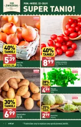 Gazetka promocyjna Aldi - Pełna oferta - Gazetka - ważna od 28.01 do 28.01.2024 - strona 2 - produkty: Cebula, Pietruszka, Ziemniaki, Pomidory