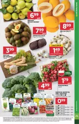 Gazetka promocyjna Stokrotka - Supermarket - Gazetka - ważna od 15.05 do 15.05.2024 - strona 9 - produkty: Warzywa, Por, Czosnek, Gruszki, Owoce, Rzodkiewka, Melon, Mięso