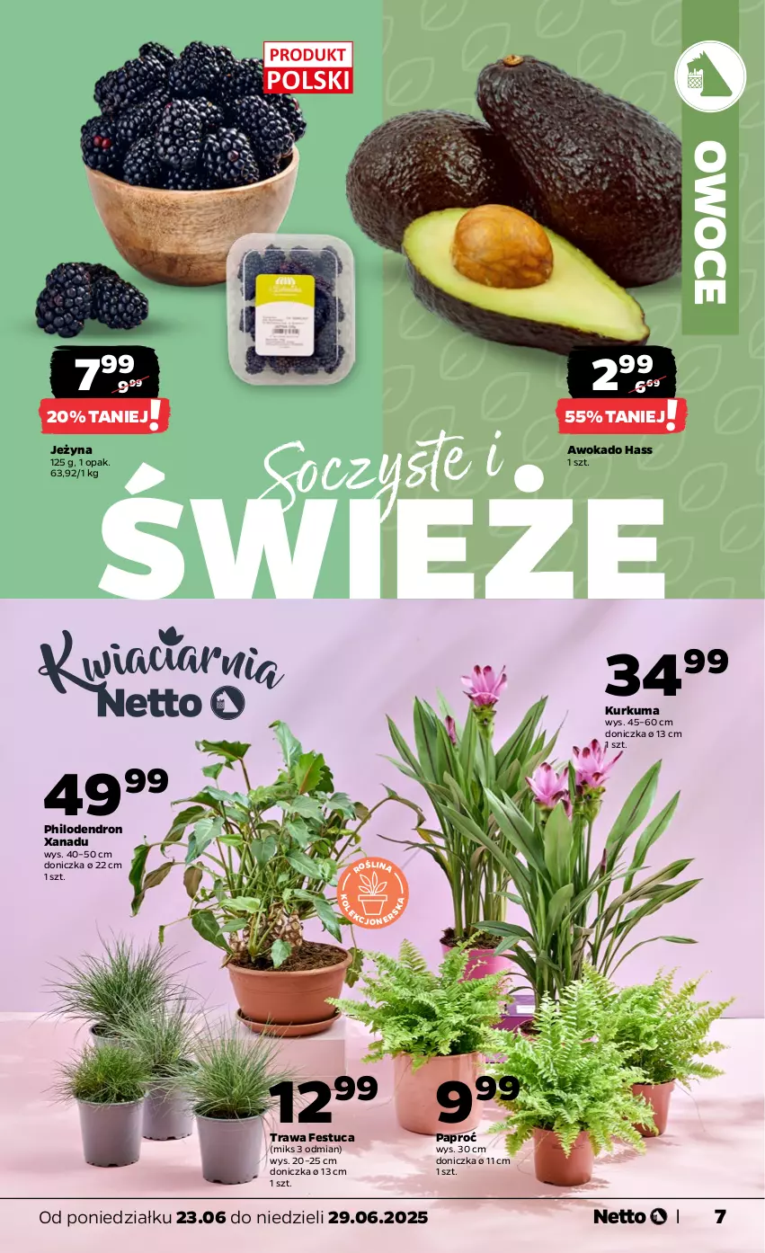 Gazetka promocyjna Netto - Od Poniedziałku - ważna 23.06 do 29.06.2025 - strona 7 - produkty: Kurkuma, Owoce