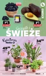 Gazetka promocyjna Netto - Od Poniedziałku - Gazetka - ważna od 29.06 do 29.06.2025 - strona 7 - produkty: Kurkuma, Owoce