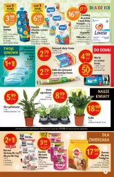 Gazetka promocyjna Delikatesy Centrum - Gazetka - ważna od 16.06 do 16.06.2021 - strona 31 - produkty: Kurczak, Warzywa, Sos, Ser, Gerber, Lovela, Morela, Whiskas, Worki na śmieci, Zdrowie, Mleczko, Worki na śmiec, Deser, Gala, Mango, Pedigree