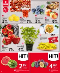 Gazetka promocyjna Selgros - Oferta spożywcza - Gazetka - ważna od 24.08 do 24.08.2022 - strona 6 - produkty: Rum, Gry, Papryka słodka, Borówka, Borówka amerykańska, Papryka, Fasola, Fasola szparagowa, Arbuz, Mięta, Nektar, Fa