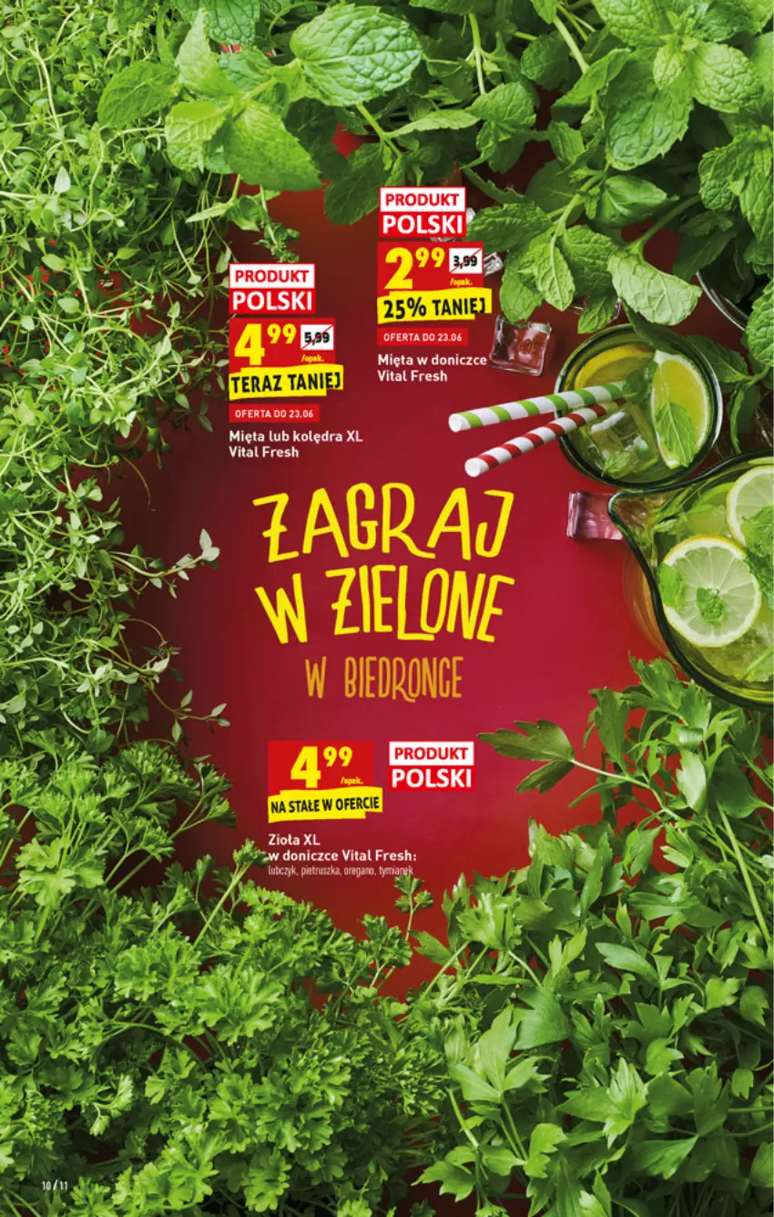 Gazetka promocyjna Biedronka - W tym tygodniu - ważna 21.06 do 27.06.2021 - strona 10 - produkty: Mięta