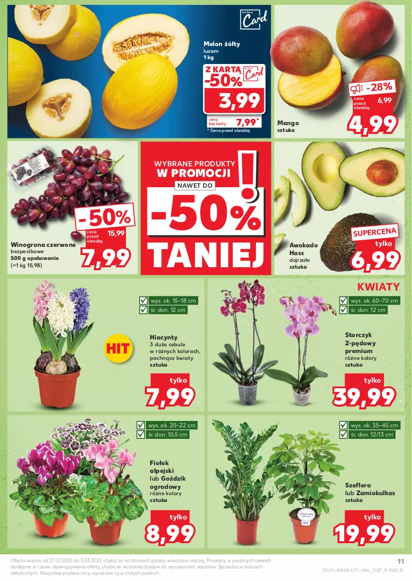 Gazetka promocyjna Kaufland - Gazetka tygodnia - ważna 27.02 do 05.03.2025 - strona 11 - produkty: Hiacynt, Mango, Melon, Storczyk, Wino, Winogrona