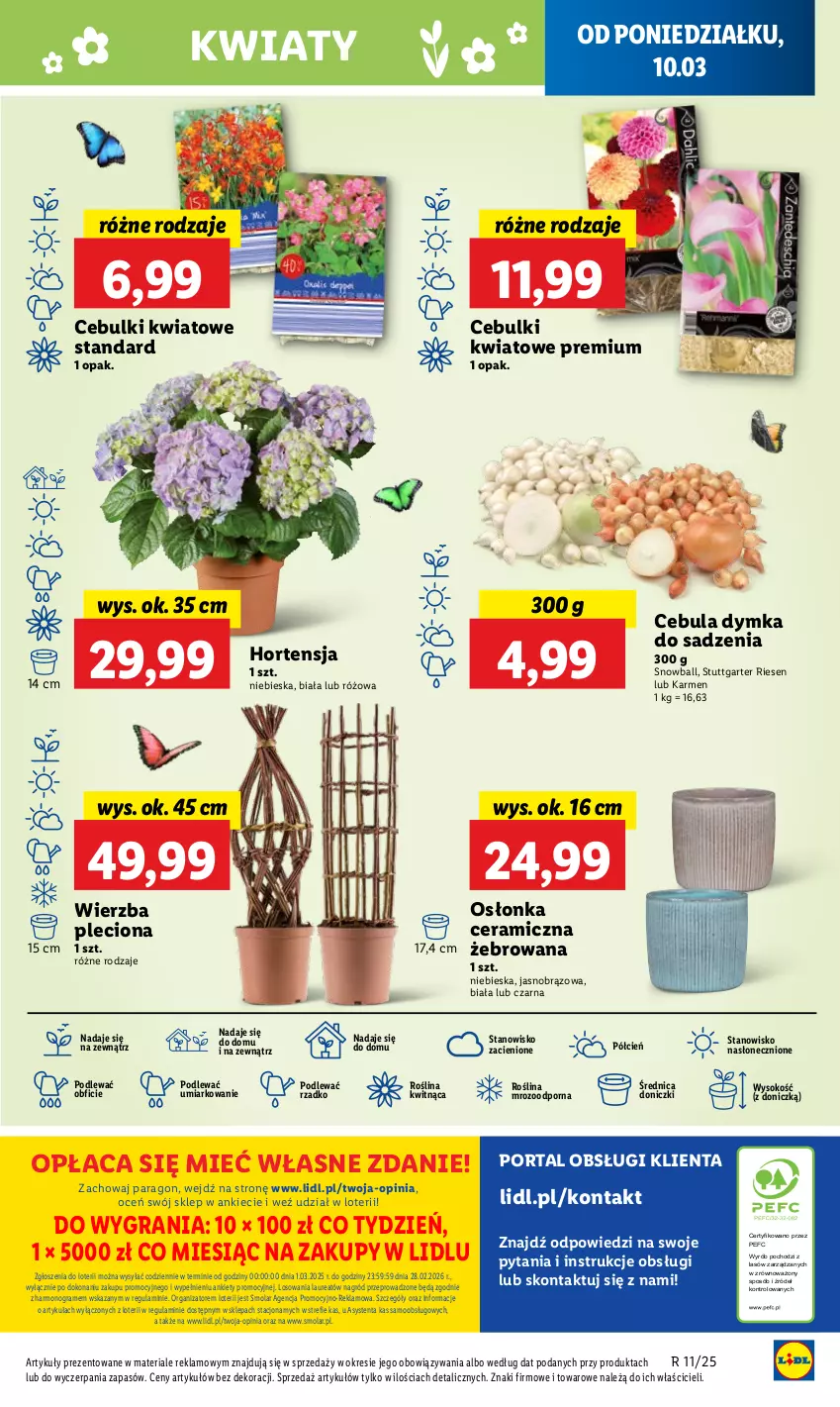 Gazetka promocyjna Lidl - GAZETKA - ważna 10.03 do 12.03.2025 - strona 55 - produkty: Cebula, Cień, Gra, Laur, Mola, O nas, Osłonka, Por, Portal, Sok