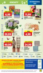 Gazetka promocyjna Lidl - GAZETKA - Gazetka - ważna od 12.03 do 12.03.2025 - strona 55 - produkty: Cebula, Sok, Por, Gra, Cień, O nas, Portal, Laur, Mola, Osłonka