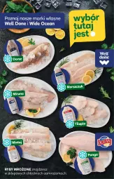Gazetka promocyjna Stokrotka - Market Opole/Radom - Gazetka - ważna od 11.12 do 11.12.2024 - strona 15 - produkty: Miruna, Zamrażarka, Panga, Tilapia, Mintaj, Dorsz