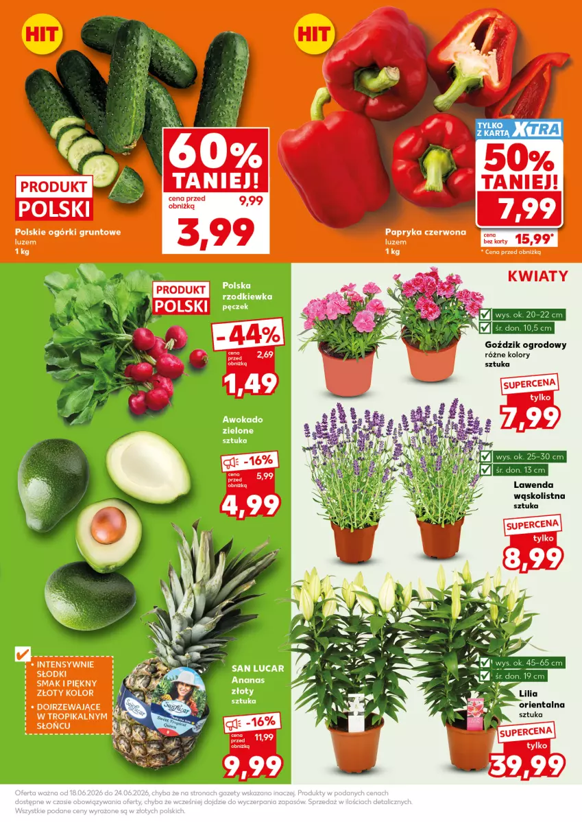 Gazetka promocyjna Kaufland - Mocny Start - ważna 22.06 do 24.06.2026 - strona 5 - produkty: Grunt, LG, Rzodkiewka
