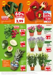 Gazetka promocyjna Kaufland - Mocny Start - Gazetka - ważna od 24.06 do 24.06.2026 - strona 5 - produkty: Grunt, Rzodkiewka, LG