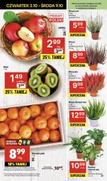 Gazetka promocyjna Delikatesy Centrum - NOWA GAZETKA Delikatesy Centrum od 3 października! 3-9.10.2024 - Gazetka - ważna od 09.10 do 09.10.2024 - strona 21 - produkty: Mandarynki, Rum, Jabłka