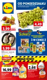 Gazetka promocyjna Lidl - GAZETKA - Gazetka - ważna od 31.08 do 31.08.2022 - strona 1 - produkty: Kurczak, Por, Gra, Silan, Płyn do płukania, Winogrona, Wino, Waga, Olej, Kinder