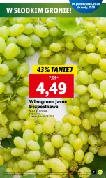 Gazetka promocyjna Lidl - GAZETKA - Gazetka - ważna od 31.08 do 31.08.2022 - strona 7 - produkty: Wino