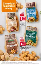 Gazetka promocyjna Stokrotka - Supermarket - Gazetka - ważna od 31.01 do 31.01.2024 - strona 6 - produkty: Piec, Warzywa, Ziemniaki, Sałat, Owoce, Mięso