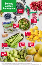 Gazetka promocyjna Stokrotka - Supermarket - Gazetka - ważna od 31.01 do 31.01.2024 - strona 7 - produkty: Sałatka, Warzywa, Cytryny, Sałat, Pomelo, Gruszki, Owoce, Seler naciowy, Rzodkiewka, Mięso