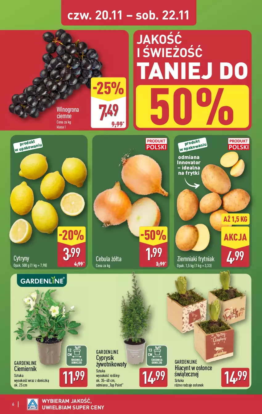 Gazetka promocyjna Aldi - Oferta weekendowa - ważna 20.11 do 22.11.2025 - strona 6 - produkty: Cebula, Cyprysik, Cytryny, Frytki, Hiacynt, Sok, Top, Wino, Winogrona, Ziemniaki