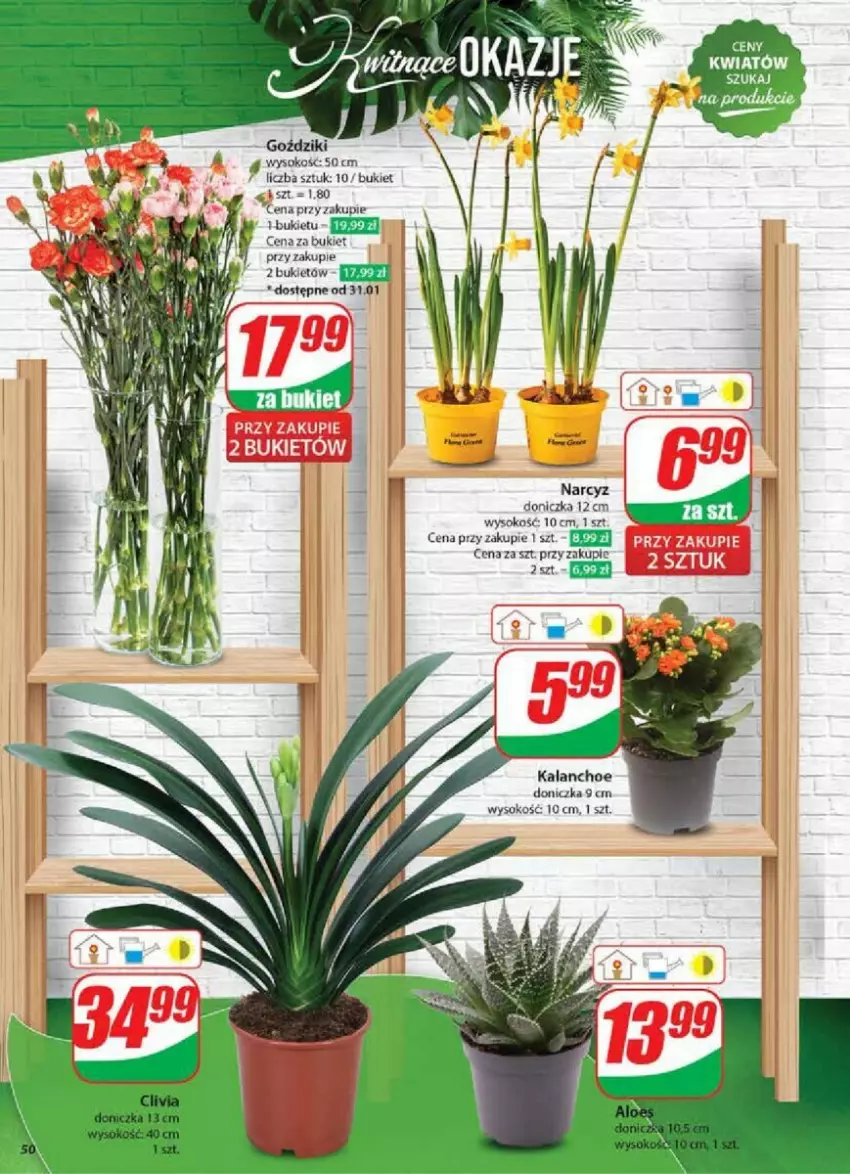 Gazetka promocyjna Dino - ważna 29.01 do 04.02.2025 - strona 46 - produkty: Bukiet, Kalanchoe, Sok