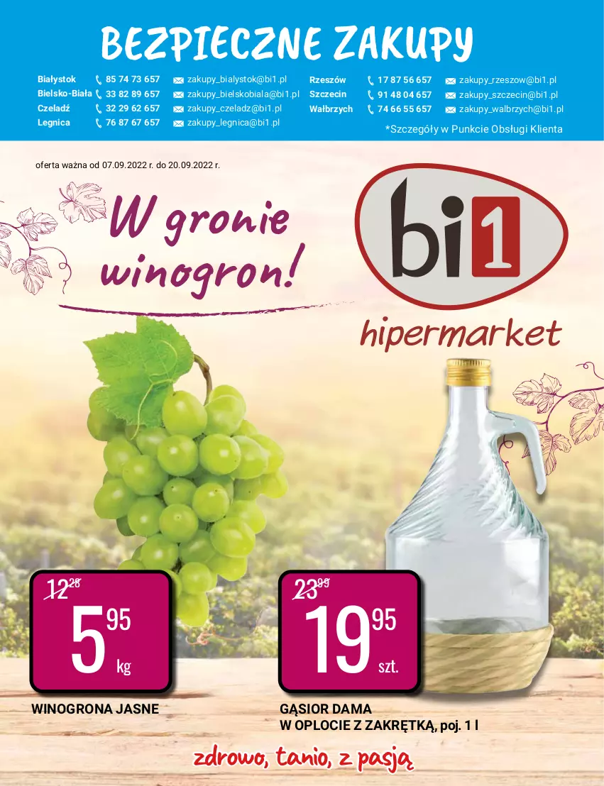 Gazetka promocyjna Bi1 - W gronie winogron - ważna 07.09 do 20.09.2022 - strona 1 - produkty: Piec, Wino, Winogrona