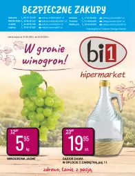Gazetka promocyjna Bi1 - W gronie winogron - Gazetka - ważna od 20.09 do 20.09.2022 - strona 1 - produkty: Piec, Winogrona, Wino