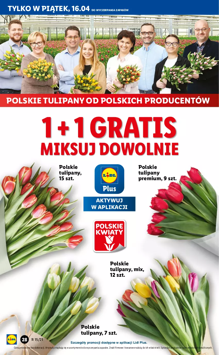 Gazetka promocyjna Lidl - GAZETKA - ważna 15.04 do 17.04.2021 - strona 28 - produkty: Gra, Tulipan