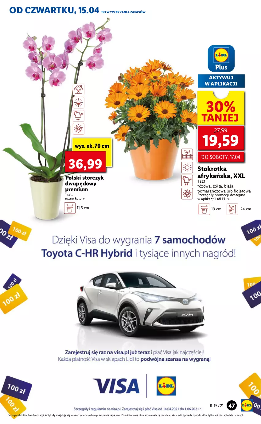 Gazetka promocyjna Lidl - GAZETKA - ważna 15.04 do 17.04.2021 - strona 47 - produkty: Storczyk