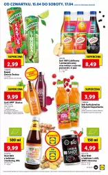 Gazetka promocyjna Lidl - GAZETKA - Gazetka - ważna od 17.04 do 17.04.2021 - strona 39 - produkty: Sok, Por, Gra, Hibiskus, Kaktus, Granat, Tymbark, Limonka, Owoce, Napój, Nektar, Imbir, Hortex, HP
