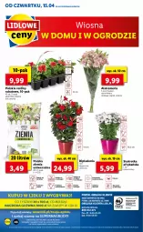 Gazetka promocyjna Lidl - GAZETKA - Gazetka - ważna od 17.04 do 17.04.2021 - strona 46 - produkty: Sok, Cień, O nas, Bukiet, Aksam