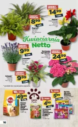Gazetka promocyjna Netto - Gazetka spożywcza - Gazetka - ważna od 19.06 do 19.06.2021 - strona 16 - produkty: Pur, Whiskas, Purina, Pedigree, Adventuros, Przysmak dla psa