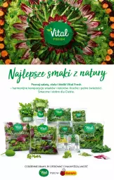Gazetka promocyjna Biedronka - Gazetka - Biedronka.pl - Gazetka - ważna od 11.02 do 11.02.2023 - strona 50 - produkty: Sałat, Kiełki