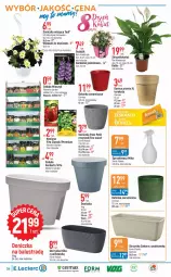 Gazetka promocyjna E Leclerc - Gazetka - ważna od 18.03 do 18.03.2023 - strona 4 - produkty: Cebula, Wieszak, Tera, Vita C, Miecz, Osłonka