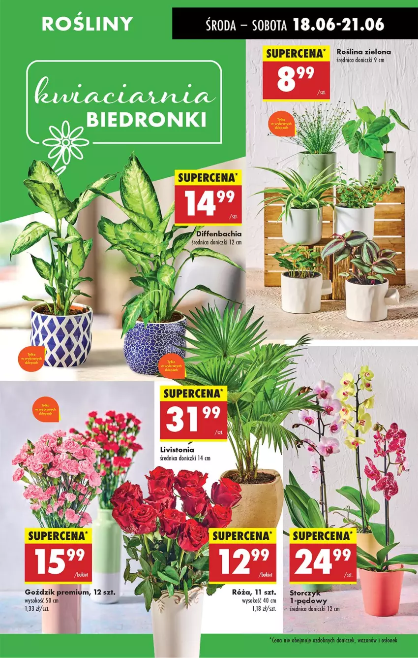 Gazetka promocyjna Biedronka - Od Środy - ważna 18.06 do 21.06.2025 - strona 26 - produkty: Bukiet, Chia, Sok, Wazon