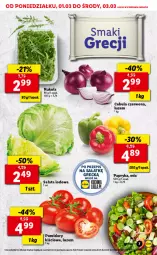 Gazetka promocyjna Lidl - GAZETKA - Gazetka - ważna od 03.03 do 03.03.2021 - strona 7 - produkty: Cebula czerwona, Cebula, Sałata lodowa, Sałat