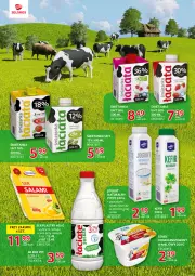 Gazetka promocyjna Selgros - Katalog Markowe Produkty - Gazetka - ważna od 17.05 do 17.05.2023 - strona 6 - produkty: Jogurt naturalny, Ser, Jogurt, Serek homogenizowany, Serek, Kefir, Mleko