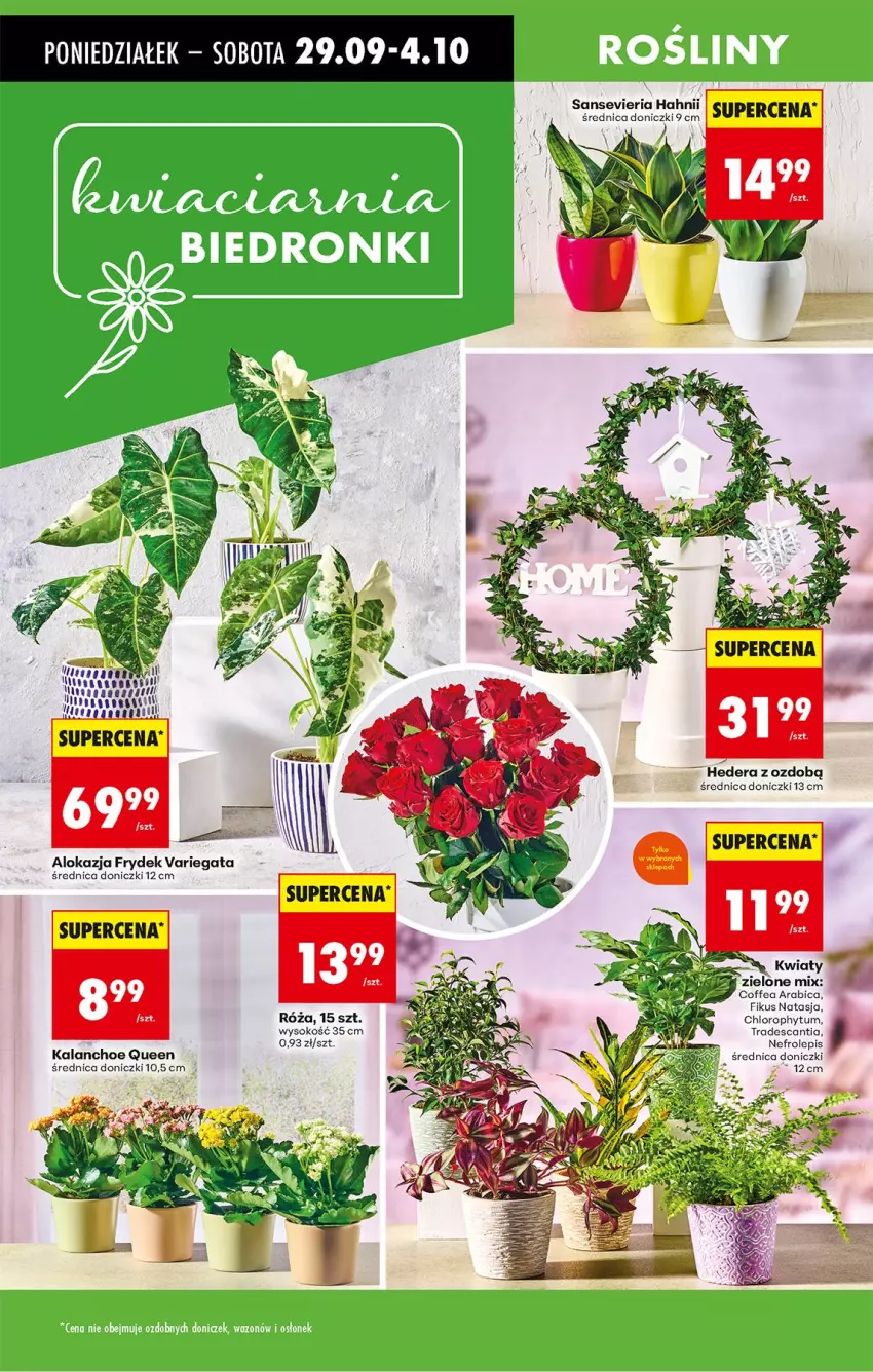 Gazetka promocyjna Biedronka - Od Poniedziałku - ważna 29.09 do 04.10.2025 - strona 23 - produkty: BIC, Fa, Kalanchoe, Sok