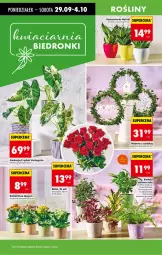 Gazetka promocyjna Biedronka - Od Poniedziałku - Gazetka - ważna od 04.10 do 04.10.2025 - strona 23 - produkty: Sok, BIC, Kalanchoe, Fa