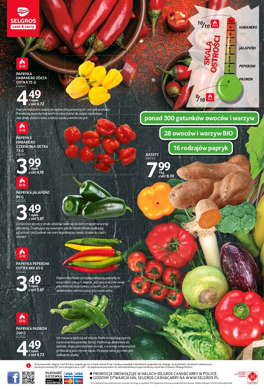 Gazetka promocyjna Selgros - Katalog eksperci od świeżości - ważna 08.03 do 04.08.2021 - strona 4 - produkty: Fa, Grill, Kurczak, LG, Papryka, Papryka jalapeño, Sałat, Salsa, Słynne, Sok, Sos, Tran