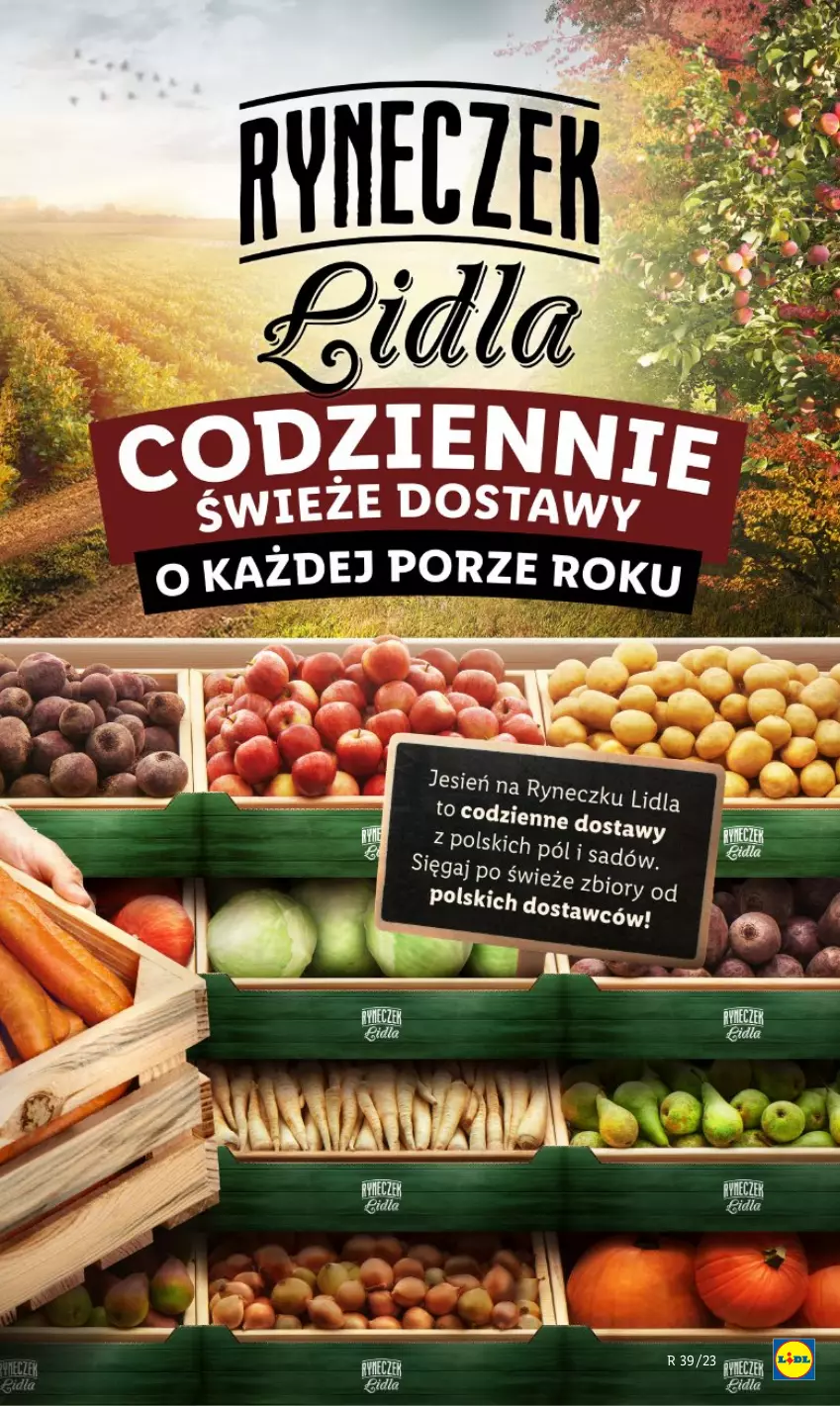 Gazetka promocyjna Lidl - GAZETKA - ważna 25.09 do 27.09.2023 - strona 17