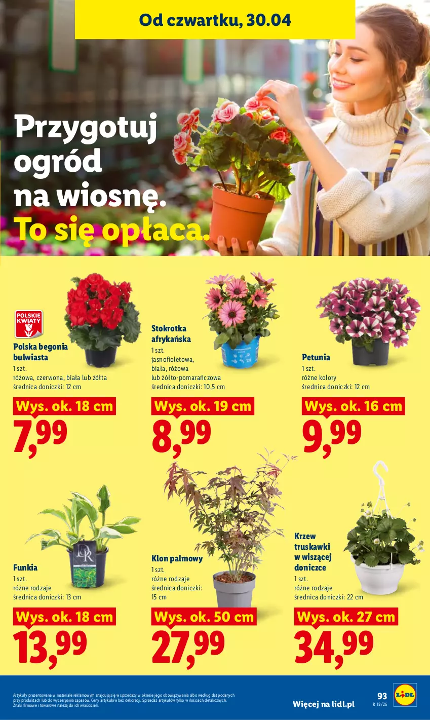 Gazetka promocyjna Lidl - Gazetka ważna od 29.04 do 2.05 - ważna 29.04 do 02.05.2026 - strona 97 - produkty: Ogród, Truskawki
