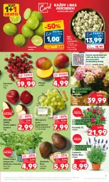 Gazetka promocyjna Kaufland - Gazetka tygodnia - Gazetka - ważna od 21.06 do 21.06.2023 - strona 9 - produkty: Gra, Pieprz, Winogrona, Limonka, Bukiet, Wino, Grunt, Mango, Mięta, Jabłka