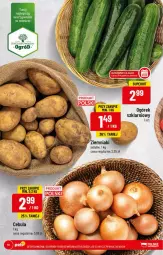 Gazetka promocyjna PoloMarket - Gazetka pomocyjna - Gazetka - ważna od 17.01 do 17.01.2022 - strona 14 - produkty: Cebula, Ogórek, Fa