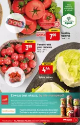 Gazetka promocyjna PoloMarket - Gazetka pomocyjna - Gazetka - ważna od 17.01 do 17.01.2022 - strona 15 - produkty: Sałata lodowa, O nas, Sałat, Pomidory