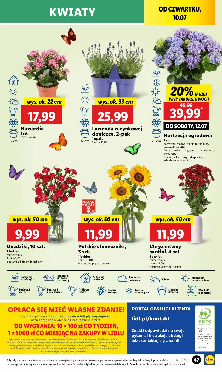 Gazetka promocyjna Lidl - GAZETKA - ważna 10.07 do 12.07.2025 - strona 61 - produkty: Bukiet, Cień, Cynk, Gra, Laur, Mola, O nas, Por, Portal, Sok