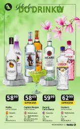 Gazetka promocyjna Netto - Netto_MK_05/25 - Gazetka - ważna od 31.05 do 31.05.2025 - strona 11 - produkty: Rum, Gin, Captain Morgan, Bacardi, Malibu, Napój, Likier